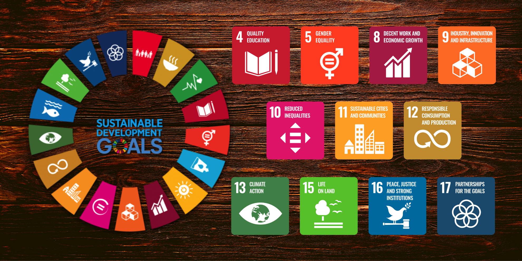 Sustainable Goals New