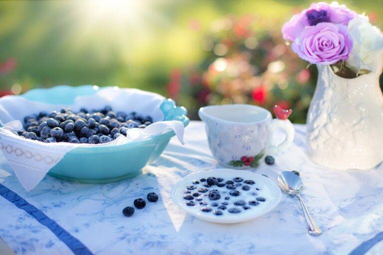 blueberries, milk, breakfast-1576405.jpg